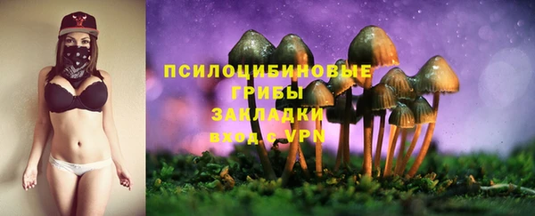 дживик Покачи