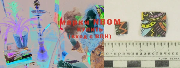 прущие грибы Баксан