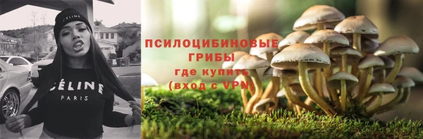 прущие грибы Баксан