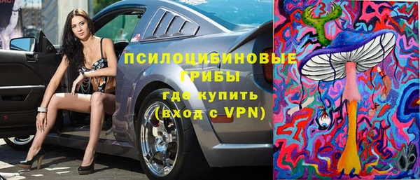 прущие грибы Баксан