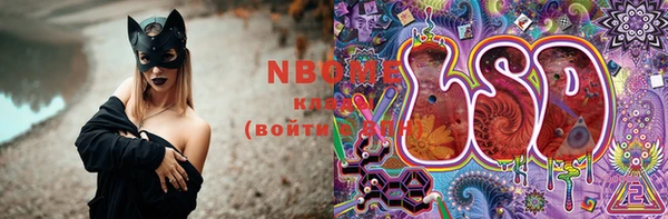 прущие грибы Баксан