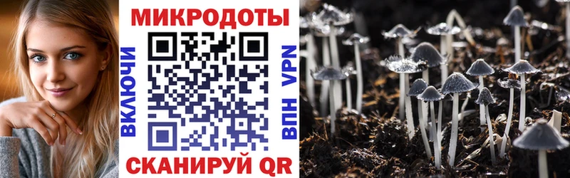 Псилоцибиновые грибы Magic Shrooms  Гатчина 
